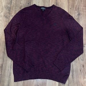 EXPRESS V-Neck Sweater